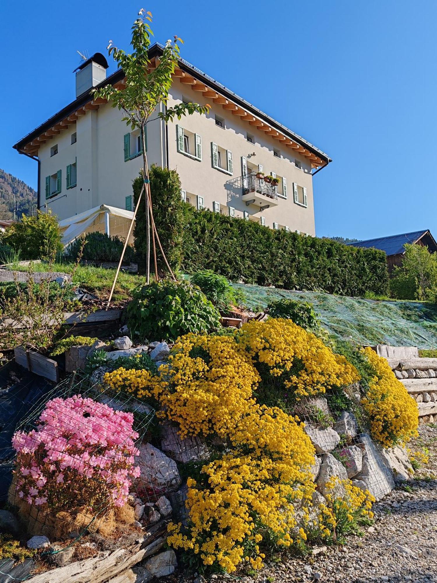 B&B Sognoincadore 도메게 디 카도레 외부 사진
